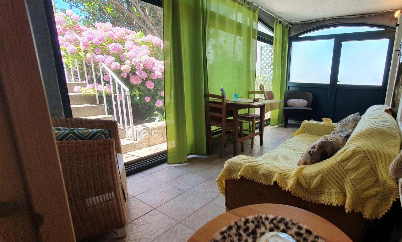 Boutique Home Saltaragazza Petrovac Екстер'єр фото