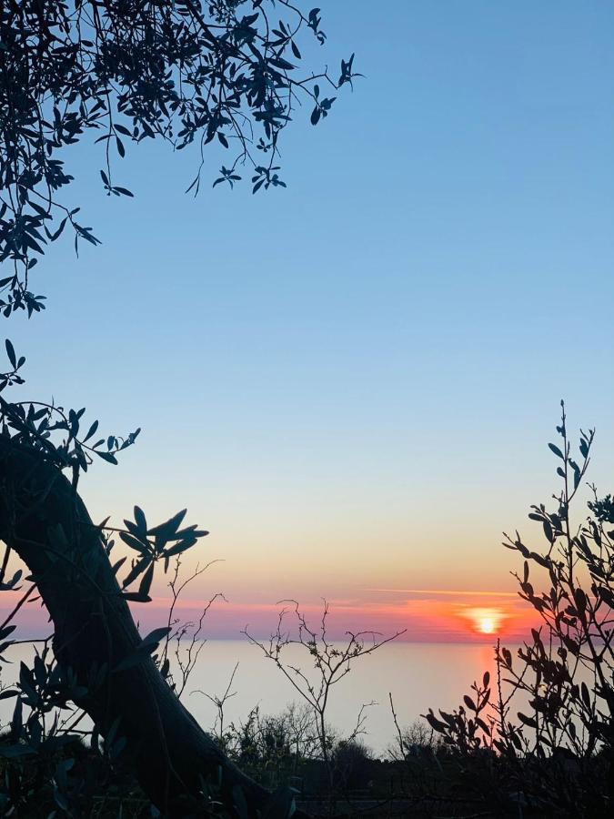 Boutique Home Saltaragazza Petrovac Екстер'єр фото