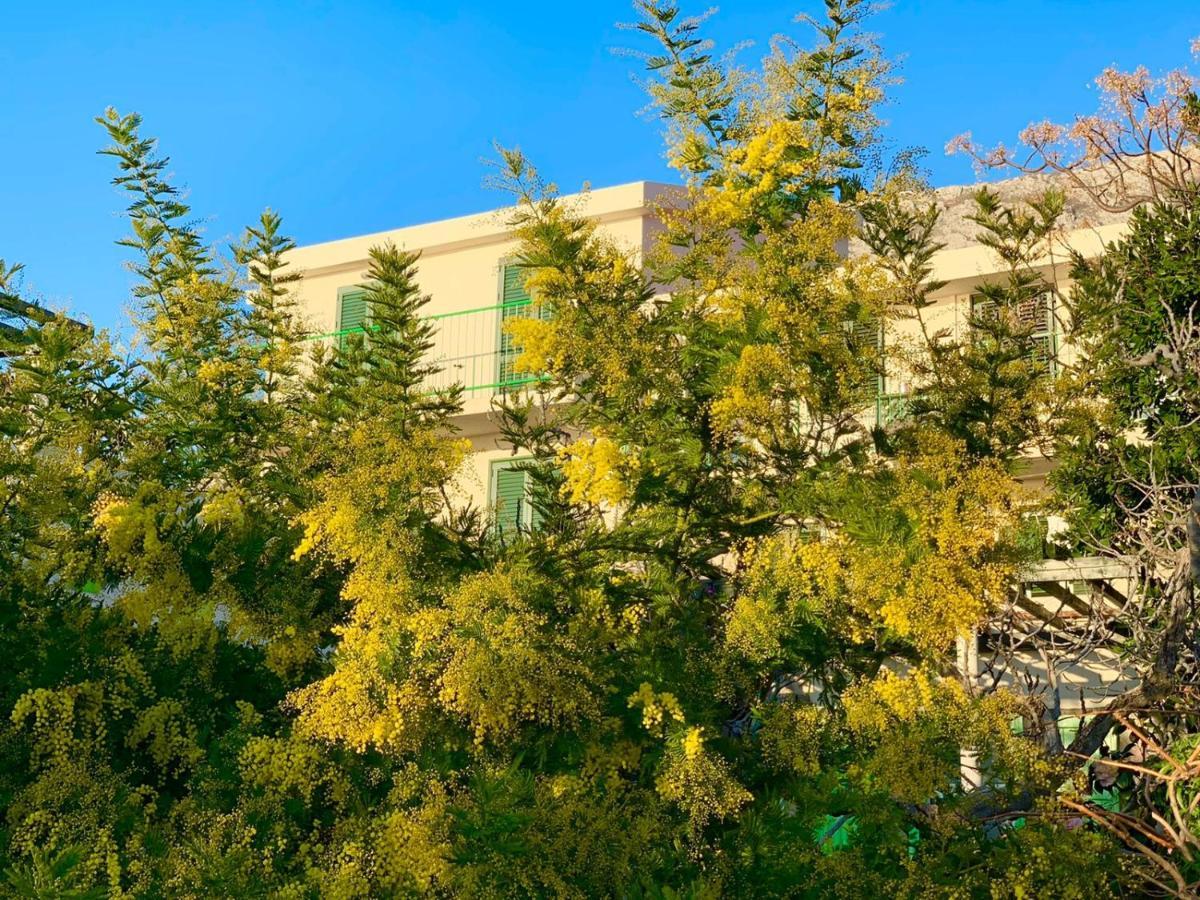 Boutique Home Saltaragazza Petrovac Екстер'єр фото