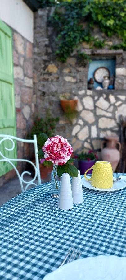 Boutique Home Saltaragazza Petrovac Екстер'єр фото