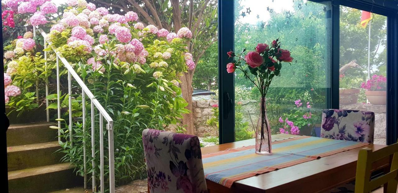 Boutique Home Saltaragazza Petrovac Екстер'єр фото